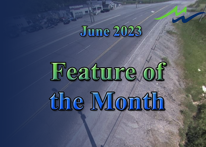feature of the month june